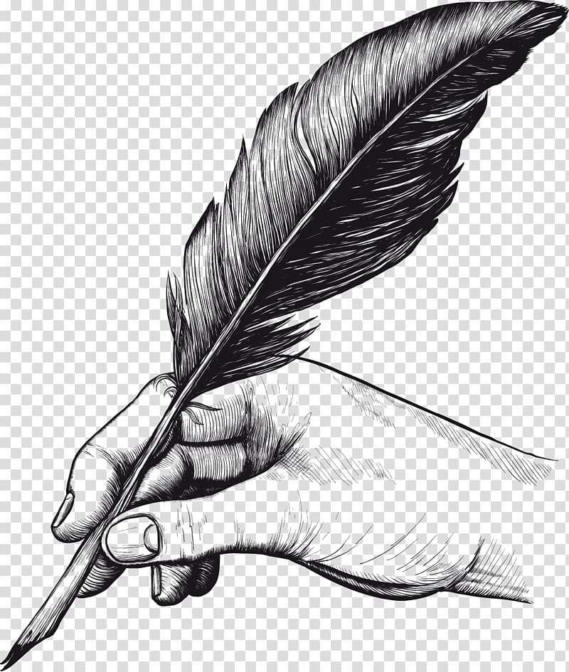 Quill Pens Feather Drawing , feather transparent background PNG clipart