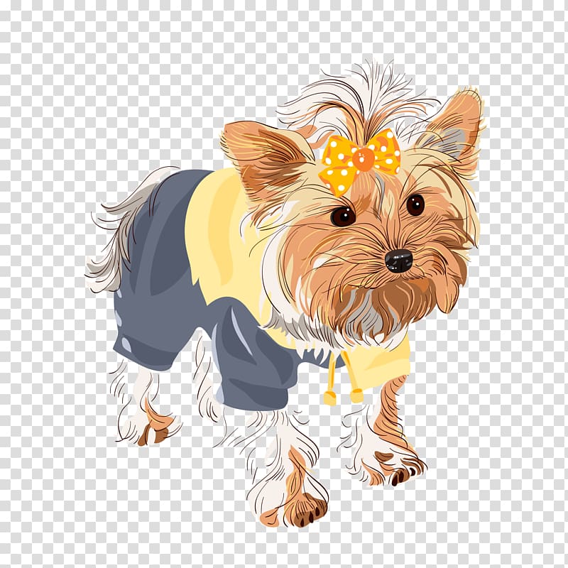 Yorkshire Terrier Boston Terrier Black Russian Terrier Shih Tzu Puppy, Fashion dog transparent background PNG clipart