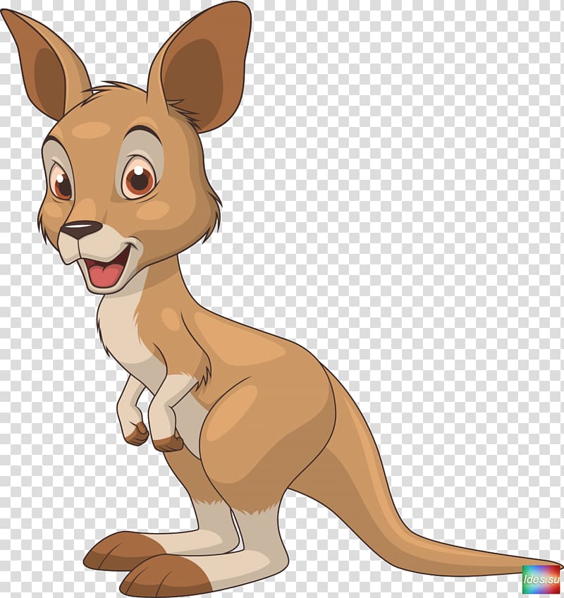 Kangaroo Cartoon , kangaroo transparent background PNG clipart