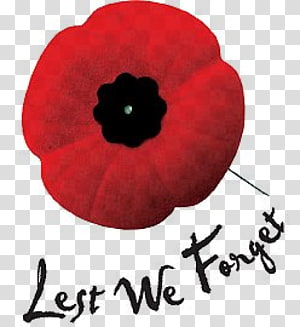 Memorial Day Poppy Flower png download - 960*890 - Free Transparent In  Flanders Fields png Download. - CleanPNG / KissPNG