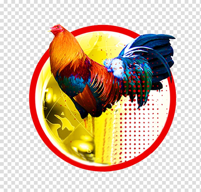 Rooster Modern Game fowl Gamecock Cockfight, fig rooster festival  transparent background PNG clipart | HiClipart