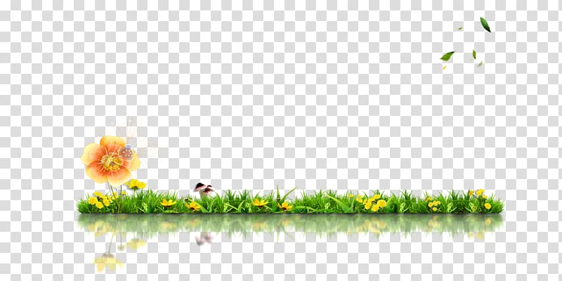 , Meadow transparent background PNG clipart