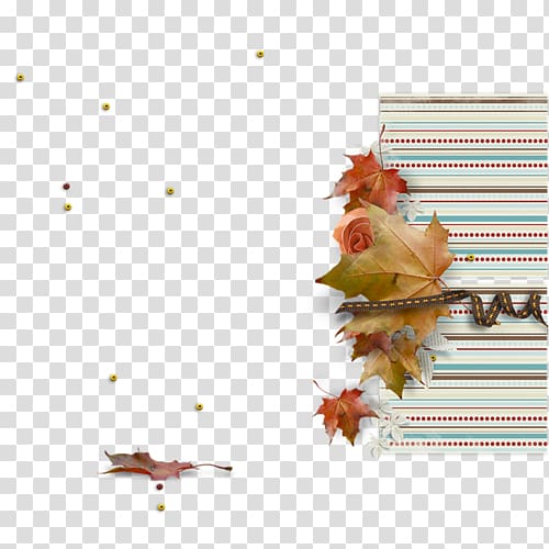 , others transparent background PNG clipart