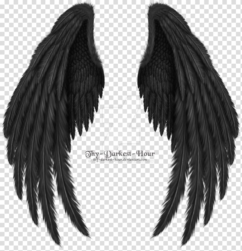 Desktop , heart wing transparent background PNG clipart