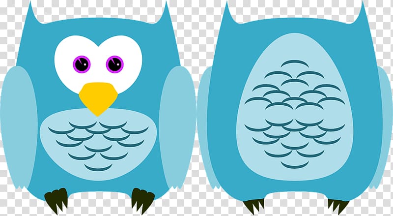 Owl Bird Beak Plumage , owl transparent background PNG clipart