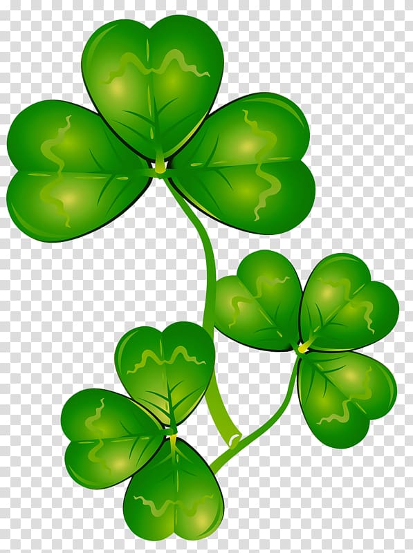 Four-leaf clover Shamrock , clover transparent background PNG clipart