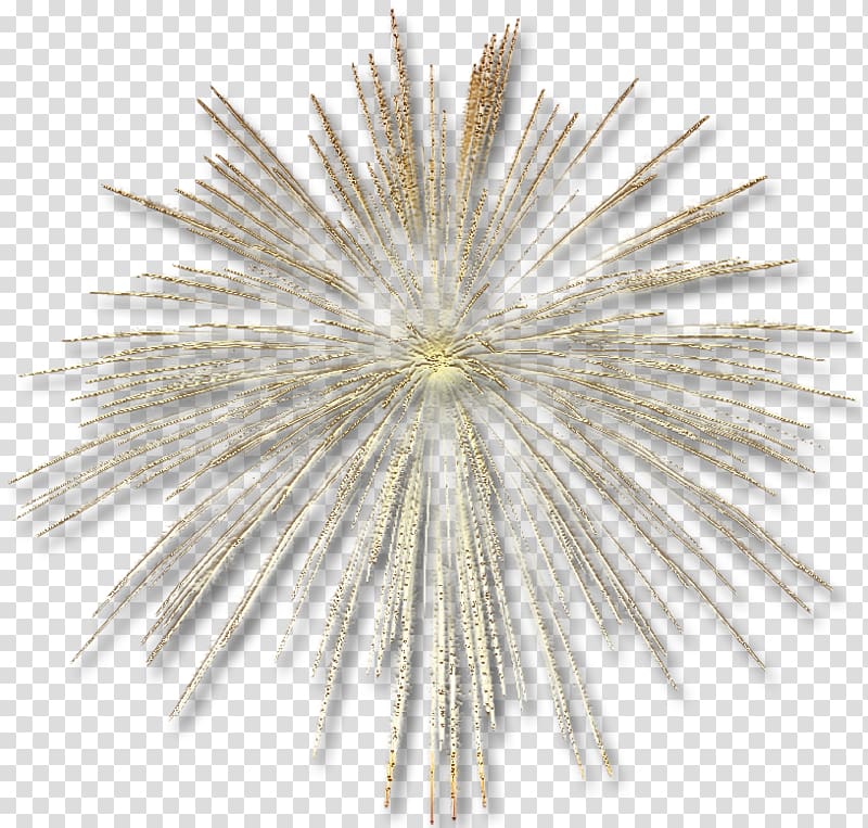 Fireworks , Gold Fireworks Effect, fireworks illustration transparent background PNG clipart
