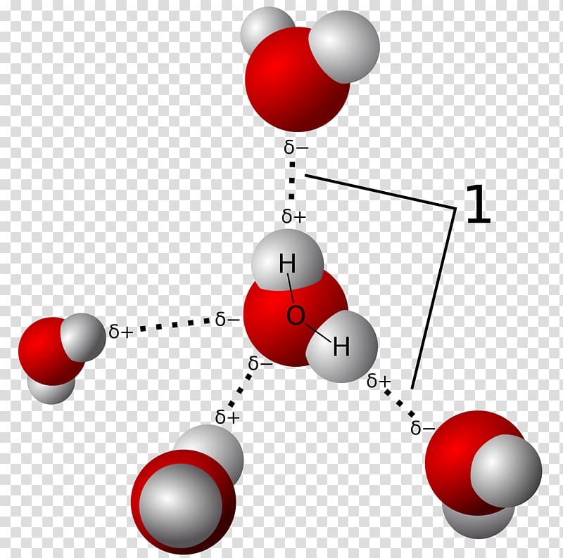 Hydrogen bond Chemical bond Covalent bond Molecule Hydrogen atom, triple h transparent background PNG clipart