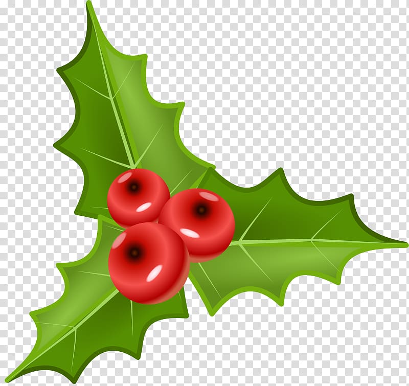Berry Common holly , Mistletoe transparent background PNG clipart