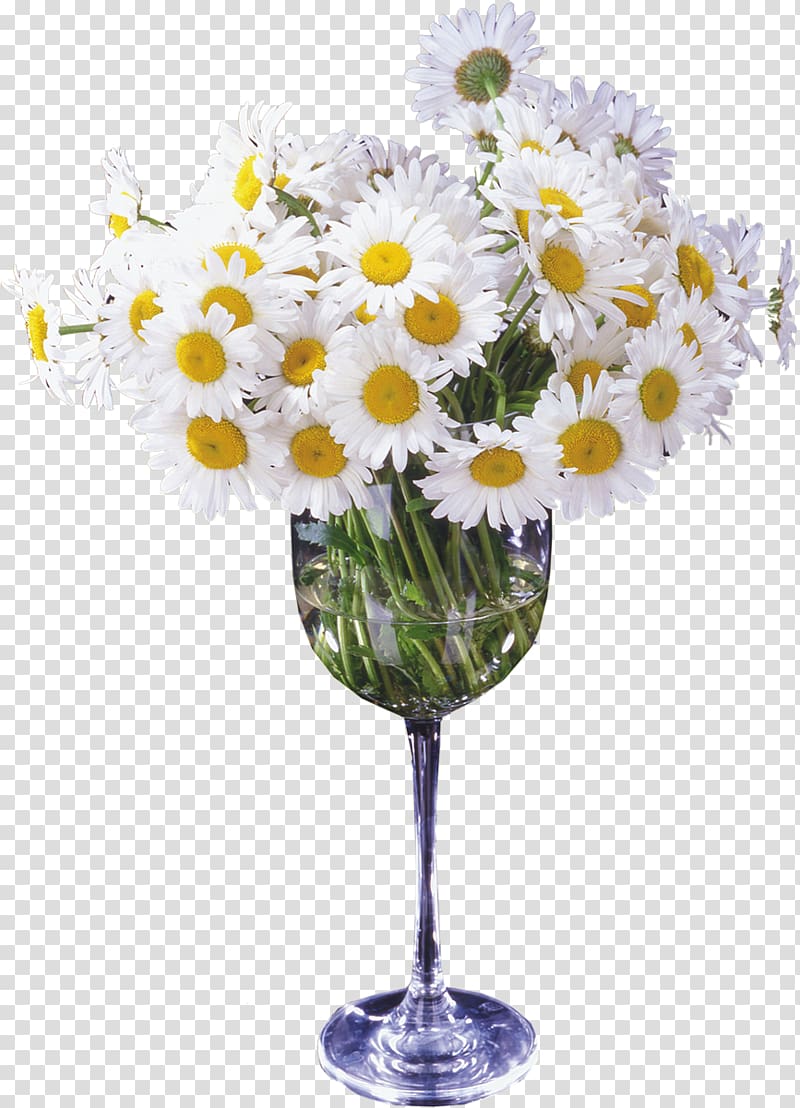 Cut flowers Vase Flower bouquet, camomile transparent background PNG clipart
