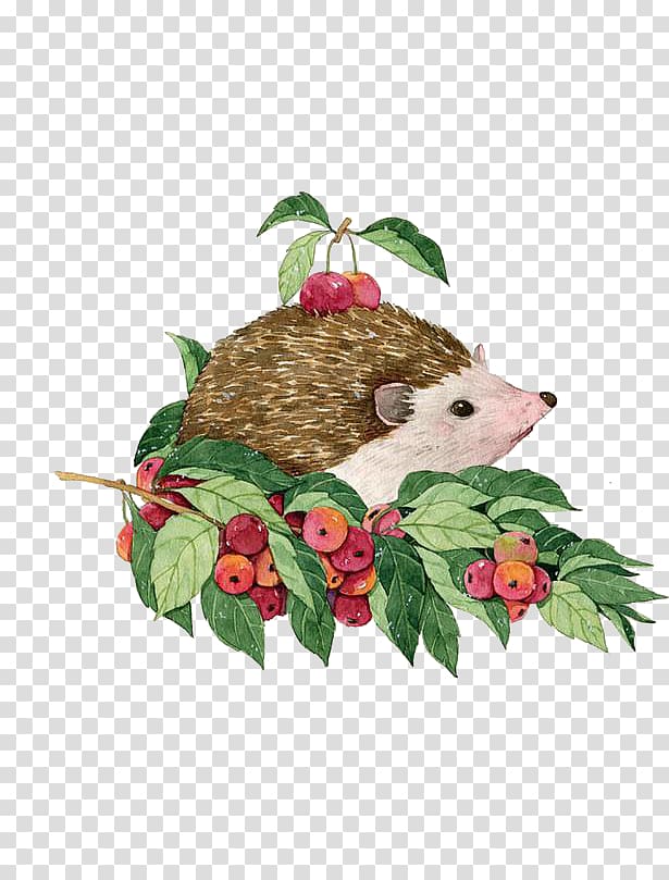 Hedgehog Watercolor painting Illustration, Hedgehog fruit harvest transparent background PNG clipart