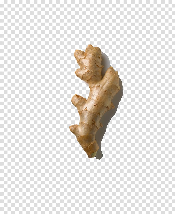 Icon, Ginger transparent background PNG clipart