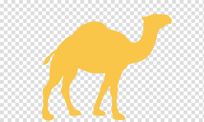 Dromedary Silhouette, I\'ve been lonely camel transparent background PNG clipart