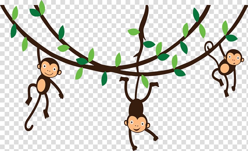 three brown monkeys , Spider monkey , Hanging Monkey transparent background PNG clipart