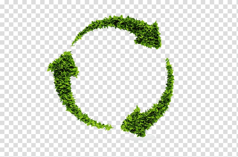 Sustainable development Sustainability Life-cycle assessment Recycling Economic development, Organic trash transparent background PNG clipart