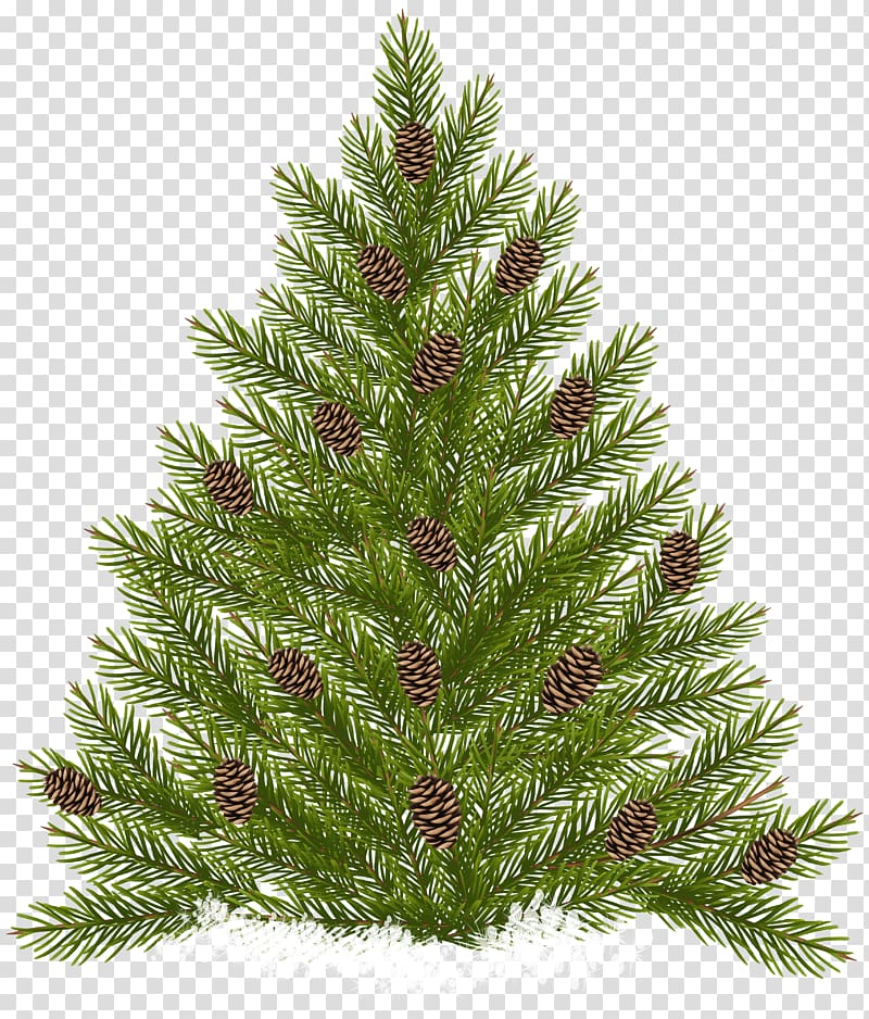 green Christmas tree, Raster graphics Scalable Graphics, Pine Tree with Cones transparent background PNG clipart