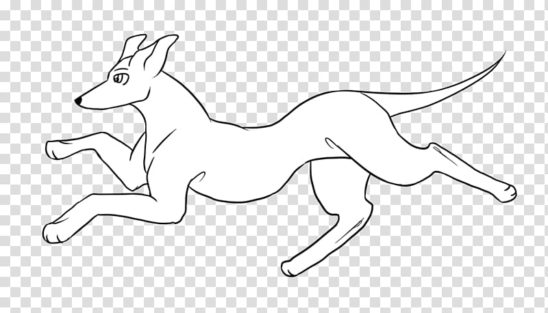 Macropodidae Line art /m/02csf Drawing Horse, greyhound transparent background PNG clipart