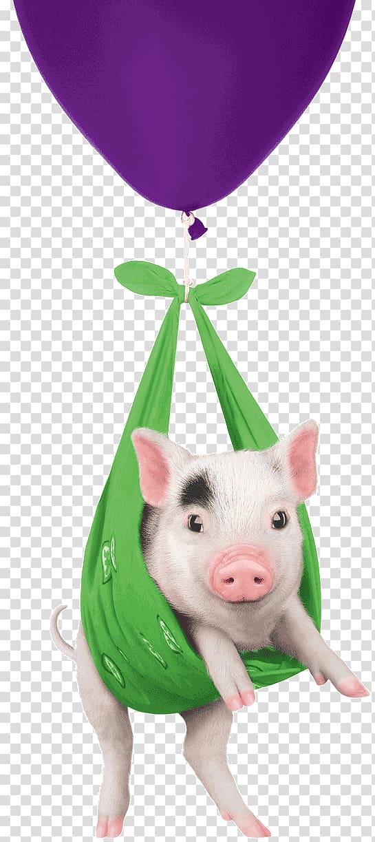 Domestic pig Telus International Koodo Mobile, pig transparent background PNG clipart