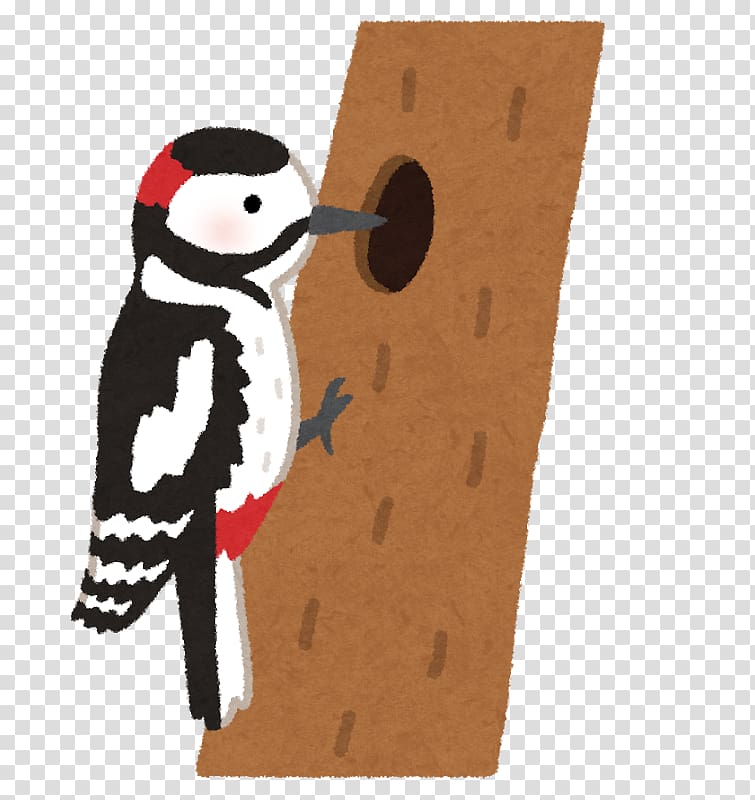 Woodpecker いらすとや Bird , Bird transparent background PNG clipart