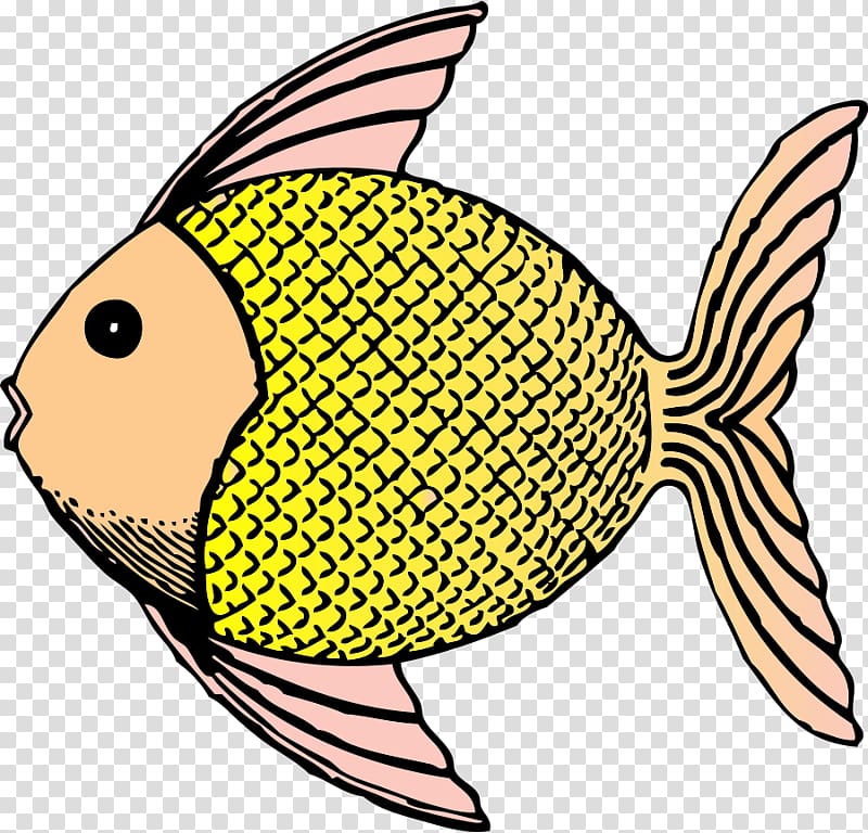 Fish Drawing , Gold Fish transparent background PNG clipart