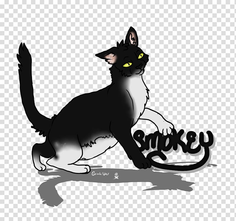 Whiskers Kitten Domestic short-haired cat Black cat, kitten transparent background PNG clipart Whiskers Kitten Domestic short-haired cat Black cat, kitten transparent background PNG clipart