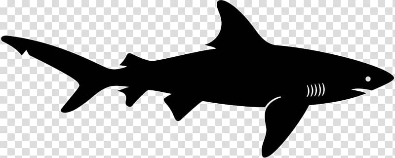 Shark Silhouette , shark transparent background PNG clipart
