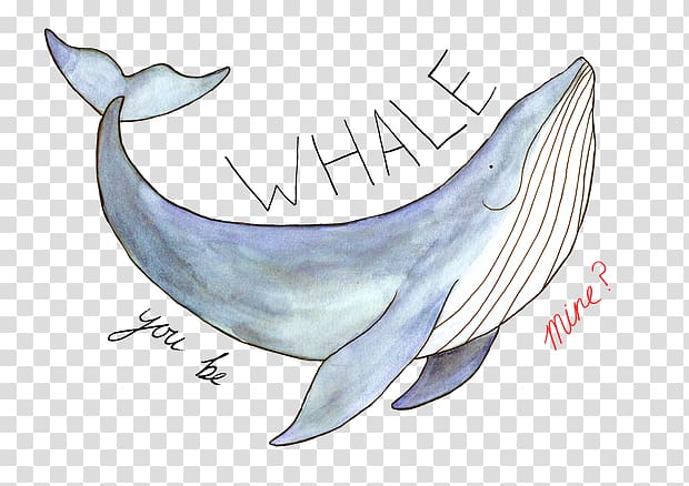 Tucuxi Common bottlenose dolphin Porpoise YouTube Cetacea, whale Illustration transparent background PNG clipart