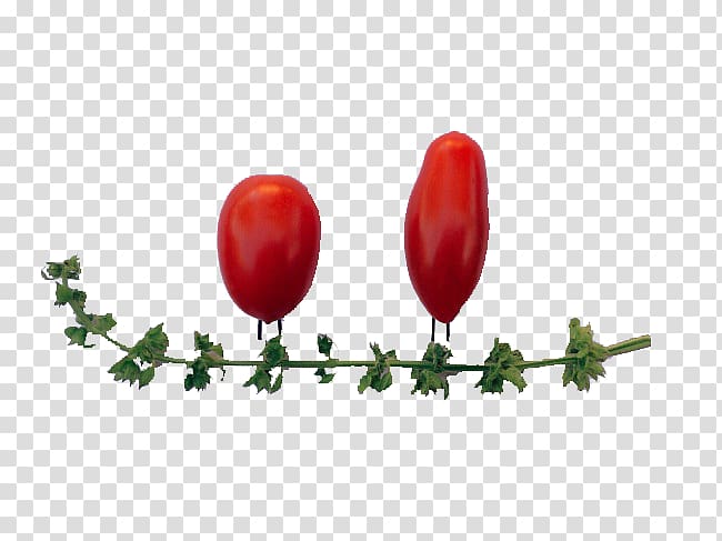 Cherry tomato Red Rouge tomate Vegetable, Red tomato transparent background PNG clipart