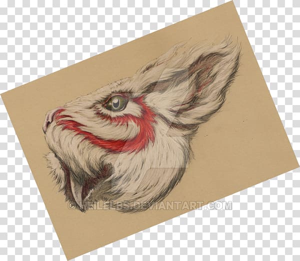 Paper Drawing Rooster /m/02csf, Rabbit Of Caerbannog transparent background PNG clipart