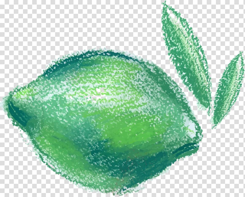 Fruit Pregnancy Food Lemon, Hand painted green lemon transparent background PNG clipart