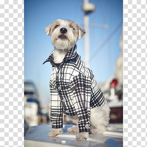 Dog breed Schnoodle Tartan Snout Outerwear, plaid print transparent background PNG clipart