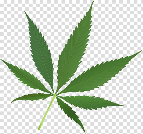 The Emperor Wears No Clothes Cannabis Desktop Hemp Leaf, cannabis transparent background PNG clipart