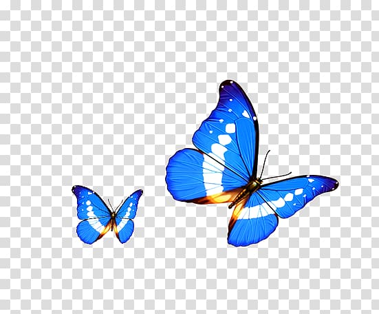 Butterfly Transparency and translucency Android Computer, Cartoon ...