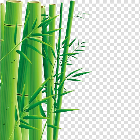Zongzi u7aefu5348 Dragon Boat Festival Bamboo, bamboo transparent background PNG clipart