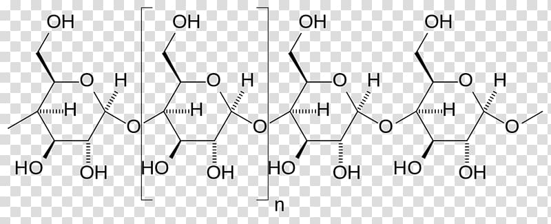 Amylose Starch Glucose Amikinos Polysaccharide, others transparent background PNG clipart