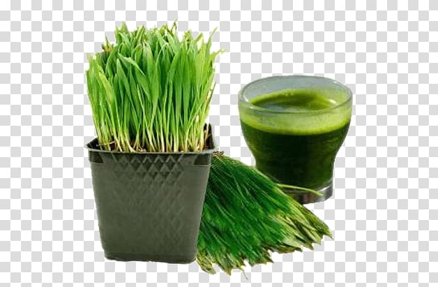 Juicer Smoothie Wheatgrass Raw foodism, juice transparent background PNG clipart