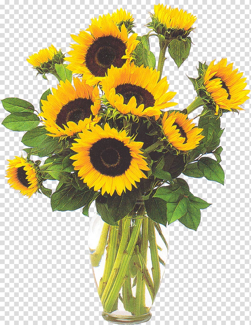 Vase with Three Sunflowers Common sunflower, sunflower transparent background PNG clipart