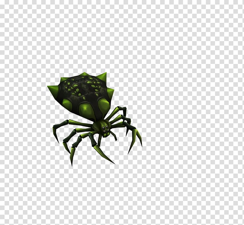 Insect Pollinator Flower Invertebrate Arachnid, spider transparent background PNG clipart