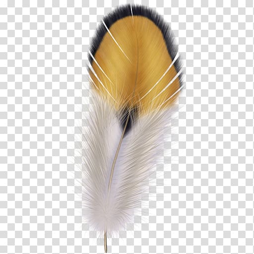 The Floating Feather Quill Pen, feather transparent background PNG clipart