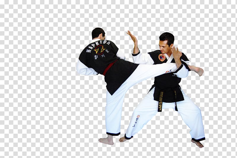 Hapkido Martial arts Combat sport Taekwondo, karate transparent background PNG clipart