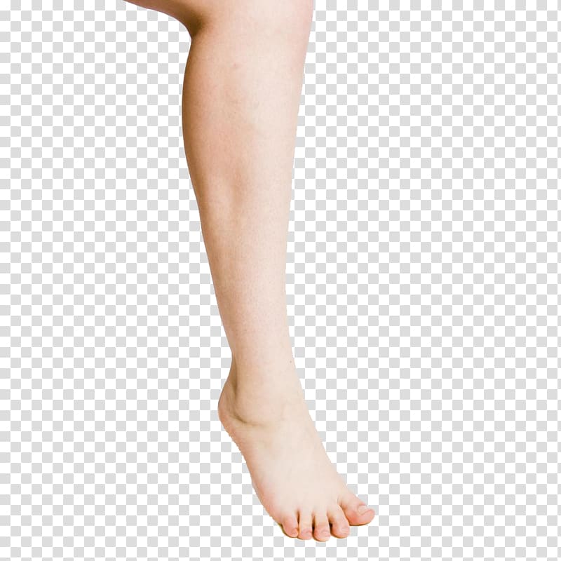 Human leg Crus Vein Definition, Leg transparent background PNG clipart
