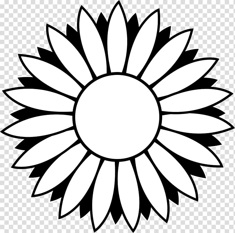 Black and white Common sunflower , Flower Outline transparent background PNG clipart
