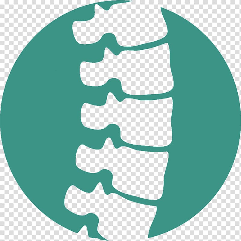 Back pain Chiropractic Vertebral column Chiropractor Human factors and ergonomics, health transparent background PNG clipart