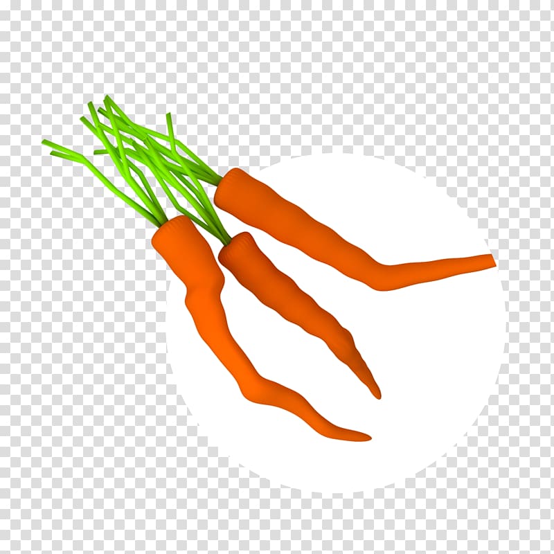 Baby carrot Line , line transparent background PNG clipart