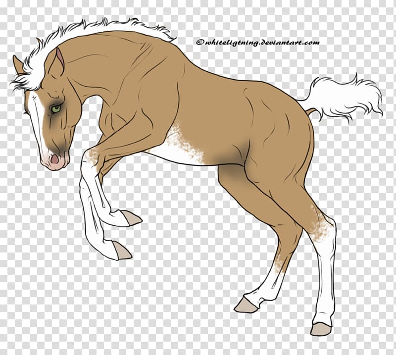 Foal Mane Stallion Mare Colt, mustang transparent background PNG clipart