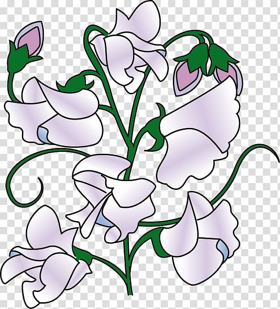 Sweet pea , Pea Vine transparent background PNG clipart