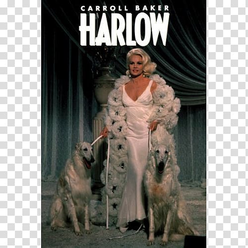 Marino Bello Actor Film Jean Harlow, actor transparent background PNG clipart