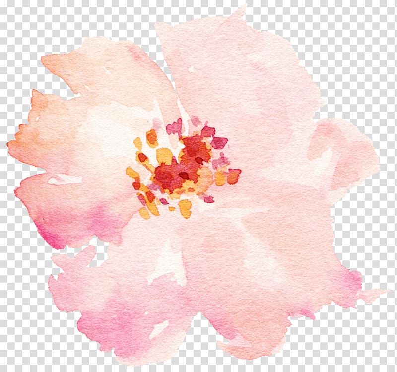 pink rose art, Flower Watercolor painting, lilac flower transparent background PNG clipart