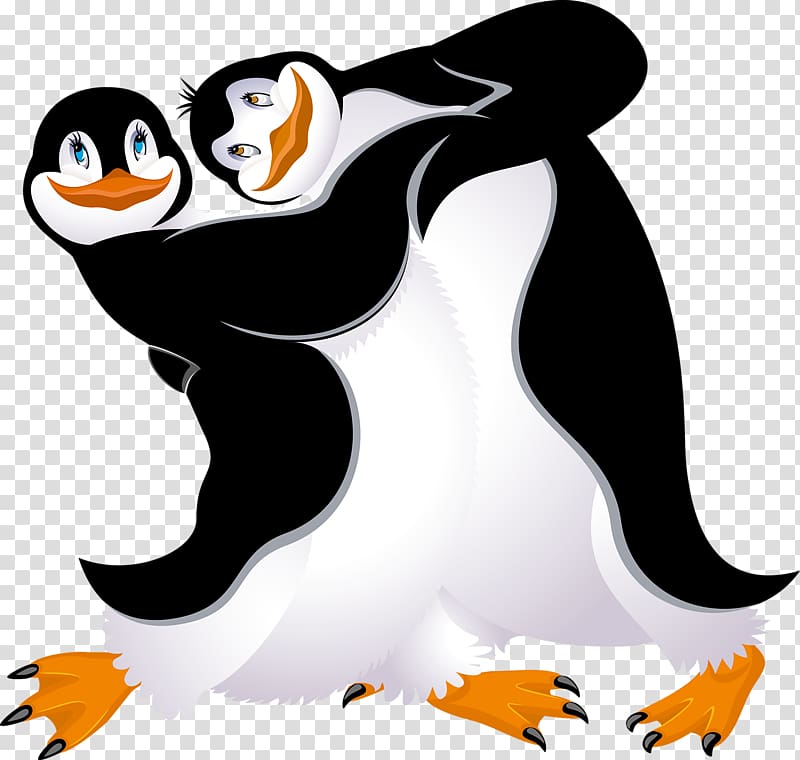 Penguin Bird Dance, Two penguins transparent background PNG clipart