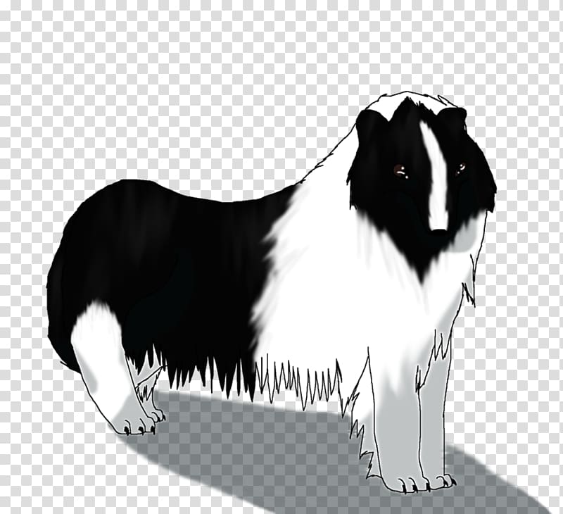 Dog breed Border Collie Rough Collie Snout, right place wrong time transparent background PNG clipart